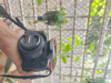 Canon 800D with 50mm 1.8 lens